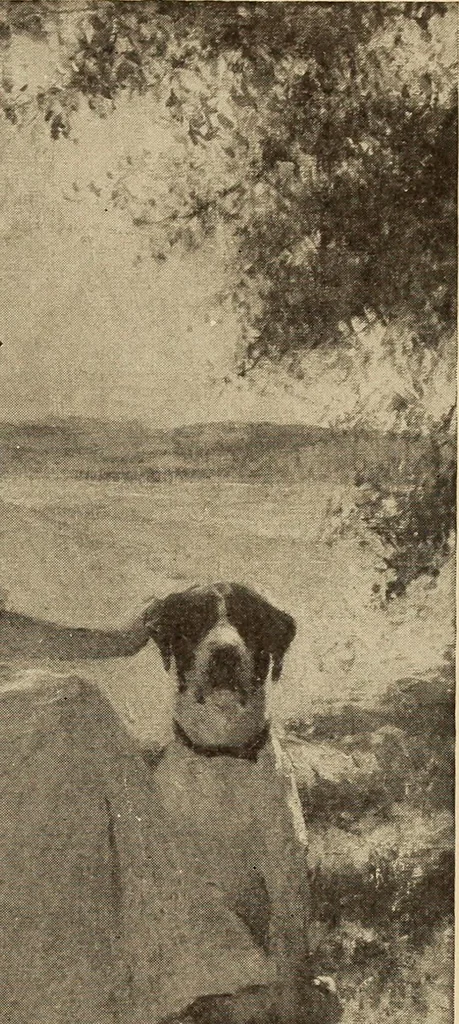 An illustration from Official catalog of the Department of Fine Arts, Alaska-Yukon- Pacific Exposition, Seattle, Washington, 1909, 1909, leaf 74
