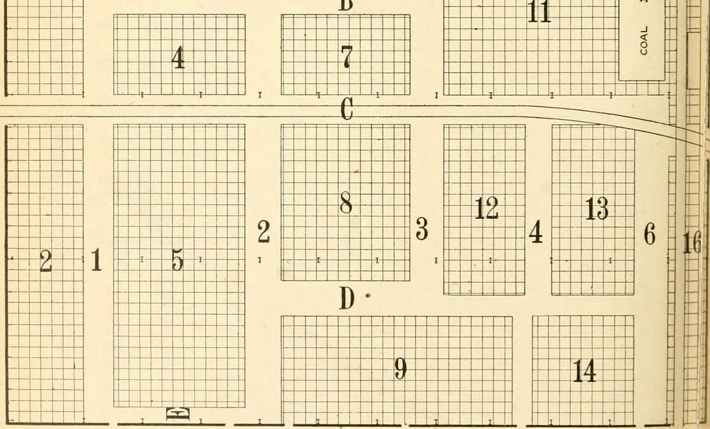 An illustration from Official catalogue of exhibitors. Universal exposition. St. Louis, U.S.A. 1904. : Division of exhibits. Department A. Education [to H. Agriculture; J. Horticulture to P. Physical Culture; R. Livestock.], 1904, leaf 705