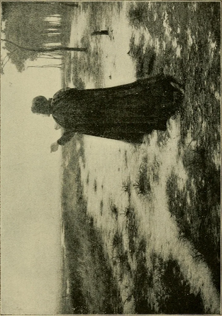 An illustration from Official catalogue of the fine arts exhibit, illustrated, 1898, leaf 32