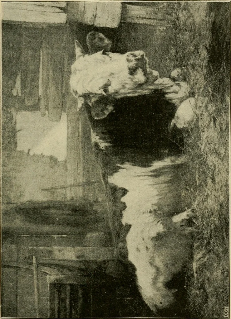 An illustration from Official catalogue of the fine arts exhibit, illustrated, 1898, leaf 34
