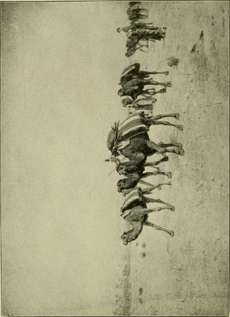 An illustration from Official catalogue of the fine arts exhibit, illustrated, 1898, leaf 37