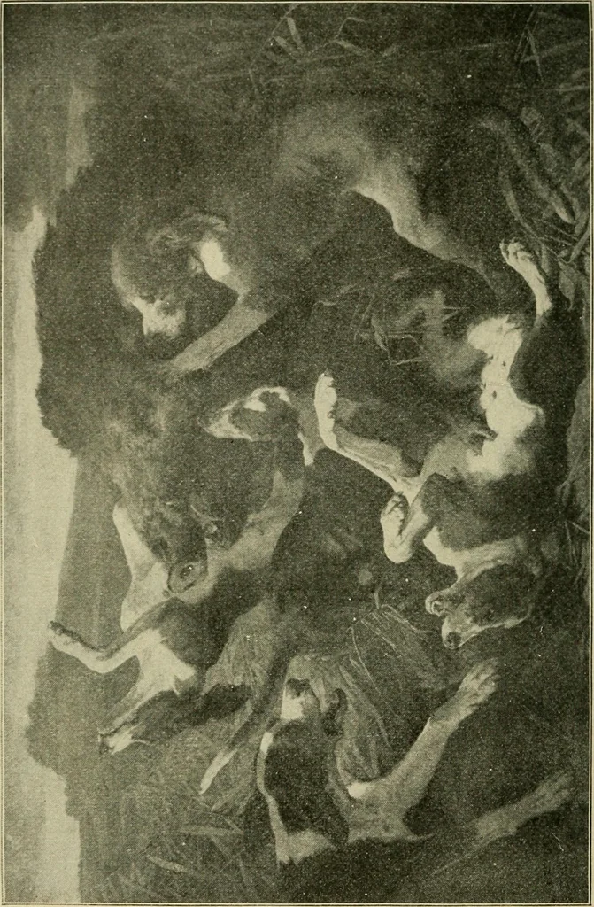 An illustration from Official catalogue of the fine arts exhibit, illustrated, 1898, leaf 41