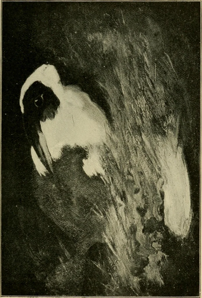 An illustration from Official catalogue of the fine arts exhibit, illustrated, 1898, leaf 48