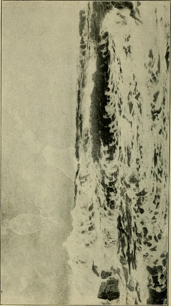 An illustration from Official catalogue of the fine arts exhibit, illustrated, 1898, leaf 51