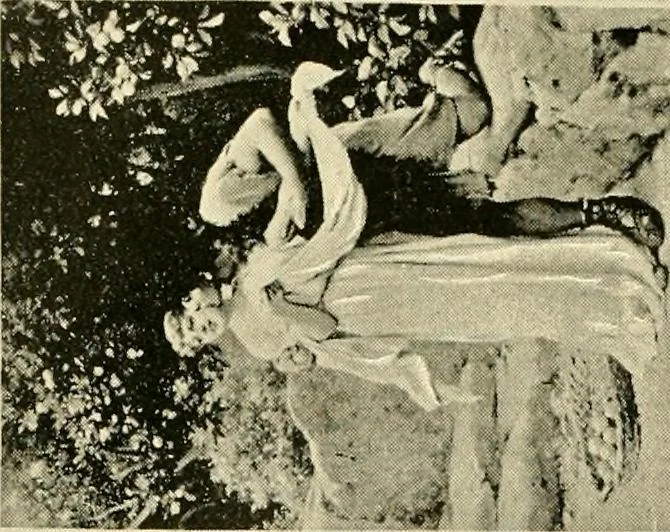 An illustration from Official catalogue and price lists on public and domestic art glass., 1897, leaf 91