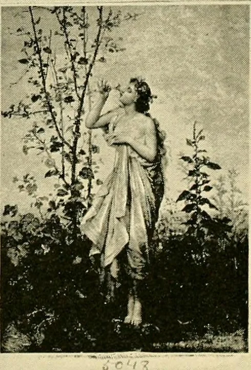 An illustration from Official catalogue and price lists on public and domestic art glass., 1897, leaf 91
