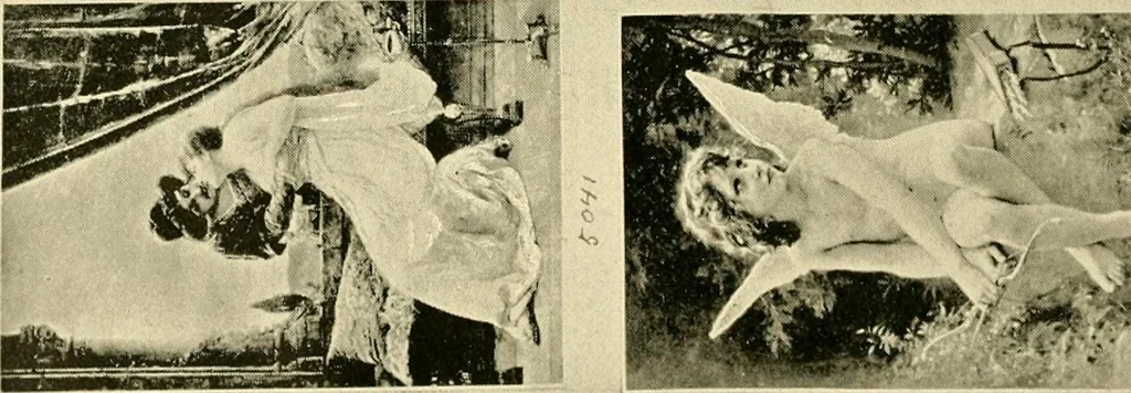 An illustration from Official catalogue and price lists on public and domestic art glass., 1897, leaf 91