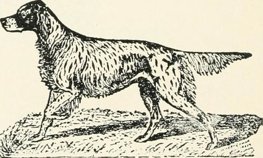 An illustration from Official exposition record and history of Masonry in the state of New York in connection with first annual fashion exposition for the benefit of Masonic hospital activities, May 8 to 13, 1922, 1922, leaf 141