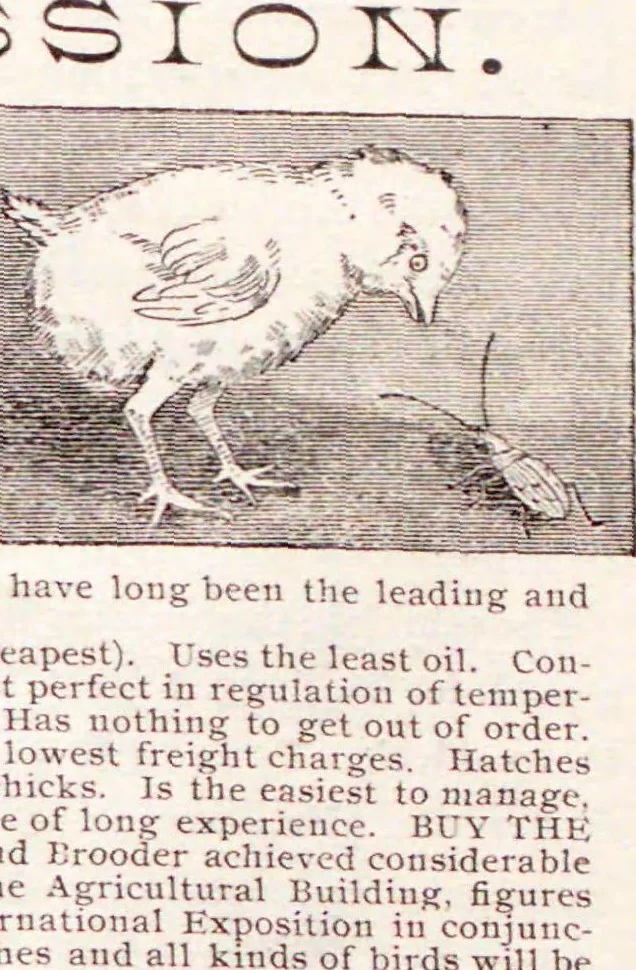 An illustration from Official guide to the California Midwinter Exposition in Golden Gate park, San Francisco, California : commencing January 27th, and closing June 30th, 1891, 1894, leaf 99