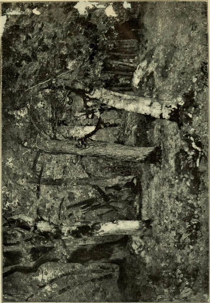An illustration from Official illustrated catalogue, Fine arts exhibit, Hungary, St. Louis exposition, 1904, 1904, leaf 78