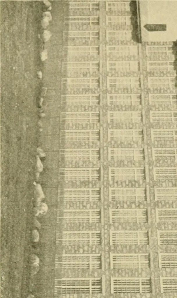 An illustration from Official manual and reference book of the National Loom Fixers Association of America : officers, constitution, by-laws, etc., 1903, leaf 52