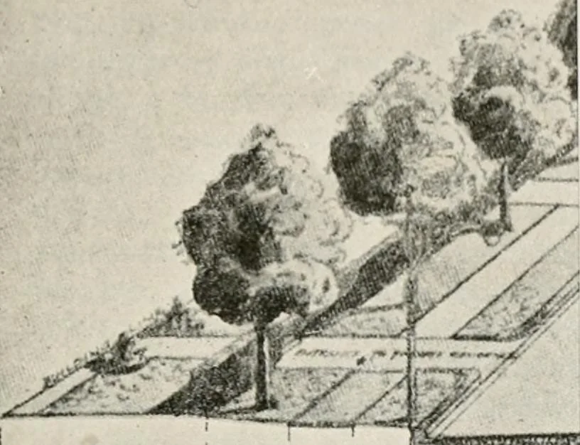An illustration from Official volume of proceedings of the first New Zealand town-planning conference and exhibition. Wellington, 20th to 23rd May, 1919 .., 1919, leaf 208