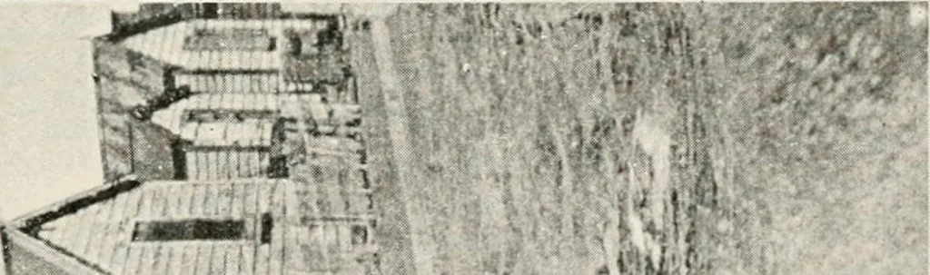 An illustration from Official volume of proceedings of the first New Zealand town-planning conference and exhibition. Wellington, 20th to 23rd May, 1919 .., 1919, leaf 258