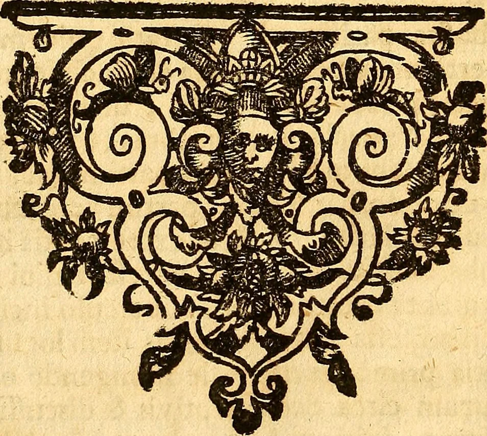 An illustration from Officina sanitatis, sive, Praxis chymiatrica plane aurea, 1677, leaf 1103