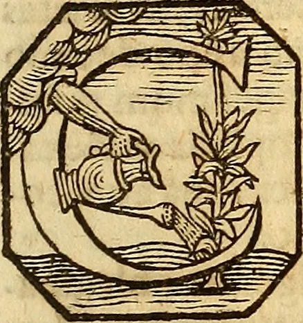 An illustration from Officina sanitatis, sive, Praxis chymiatrica plane aurea, 1677, leaf 1108