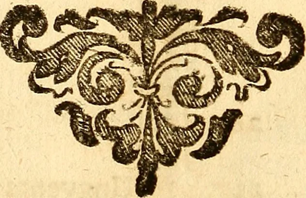 An illustration from Officina sanitatis, sive, Praxis chymiatrica plane aurea, 1677, leaf 1287