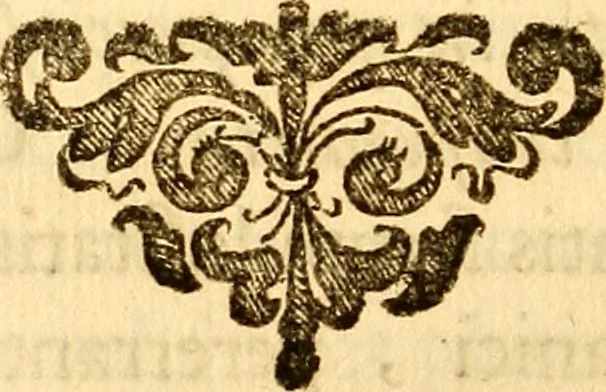 An illustration from Officina sanitatis, sive, Praxis chymiatrica plane aurea, 1677, leaf 19