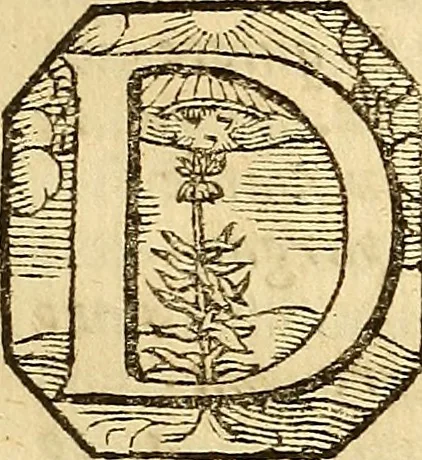 An illustration from Officina sanitatis, sive, Praxis chymiatrica plane aurea, 1677, leaf 22