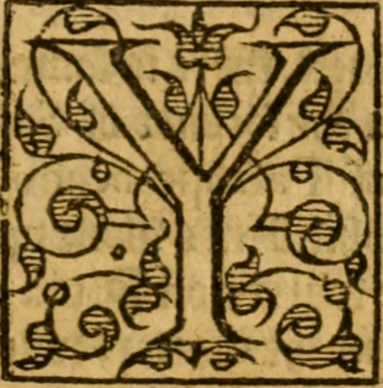 An illustration from Of ghostes and spirites, walking by night: and of straunge noyses, crackes, and sundrie forewarnings: which commonly happen before the death of men: great slaughters, and alterations of kingdoms., 1596, leaf 108