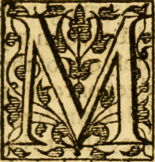 An illustration from Of ghostes and spirites, walking by night: and of straunge noyses, crackes, and sundrie forewarnings: which commonly happen before the death of men: great slaughters, and alterations of kingdoms., 1596, leaf 12