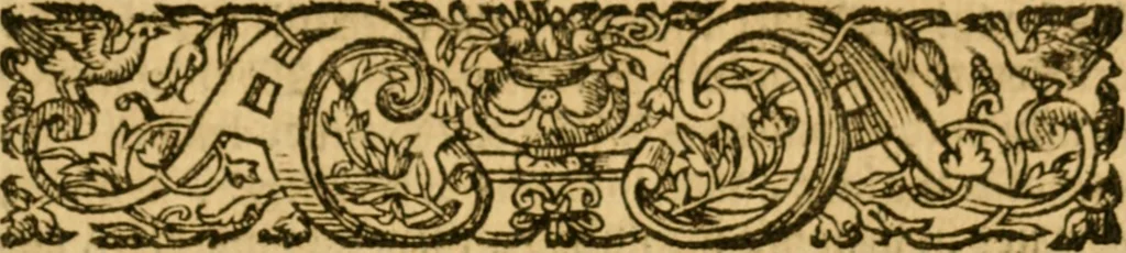 An illustration from Of ghostes and spirites, walking by night: and of straunge noyses, crackes, and sundrie forewarnings: which commonly happen before the death of men: great slaughters, and alterations of kingdoms., 1596, leaf 198