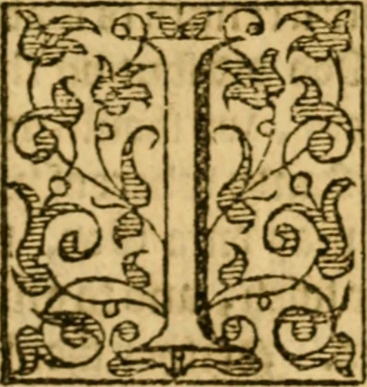 An illustration from Of ghostes and spirites, walking by night: and of straunge noyses, crackes, and sundrie forewarnings: which commonly happen before the death of men: great slaughters, and alterations of kingdoms., 1596, leaf 198