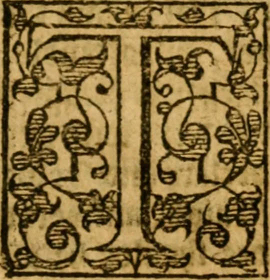 An illustration from Of ghostes and spirites, walking by night: and of straunge noyses, crackes, and sundrie forewarnings: which commonly happen before the death of men: great slaughters, and alterations of kingdoms., 1596, leaf 206