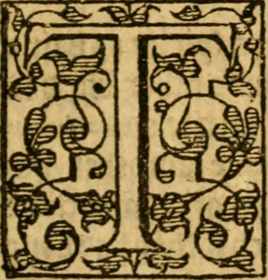 An illustration from Of ghostes and spirites, walking by night: and of straunge noyses, crackes, and sundrie forewarnings: which commonly happen before the death of men: great slaughters, and alterations of kingdoms., 1596, leaf 24