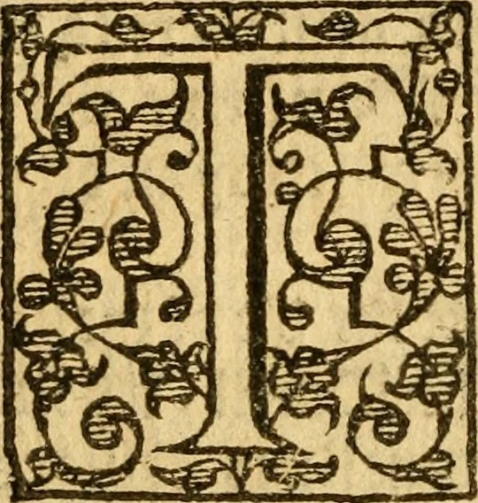 An illustration from Of ghostes and spirites, walking by night: and of straunge noyses, crackes, and sundrie forewarnings: which commonly happen before the death of men: great slaughters, and alterations of kingdoms., 1596, leaf 37