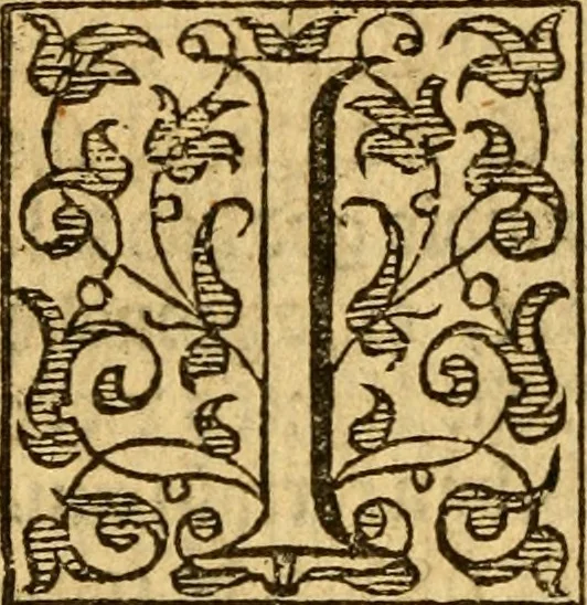 An illustration from Of ghostes and spirites, walking by night: and of straunge noyses, crackes, and sundrie forewarnings: which commonly happen before the death of men: great slaughters, and alterations of kingdoms., 1596, leaf 51