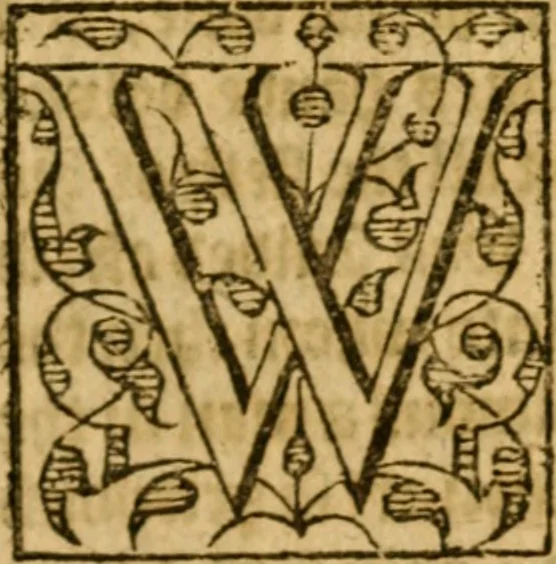 An illustration from Of ghostes and spirites, walking by night: and of straunge noyses, crackes, and sundrie forewarnings: which commonly happen before the death of men: great slaughters, and alterations of kingdoms., 1596, leaf 88