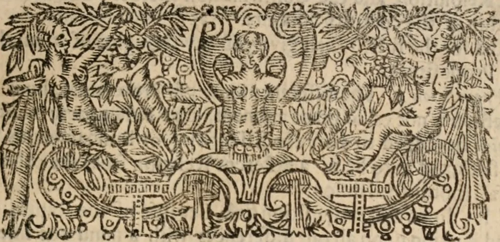 An illustration from Of justification: four disputations clearing and amicably defending the truth, against the unnecessary oppositions of divers learned and reverend brethren, 1658, leaf 30