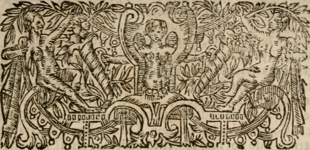 An illustration from Of justification: four disputations clearing and amicably defending the truth, against the unnecessary oppositions of divers learned and reverend brethren, 1658, leaf 352