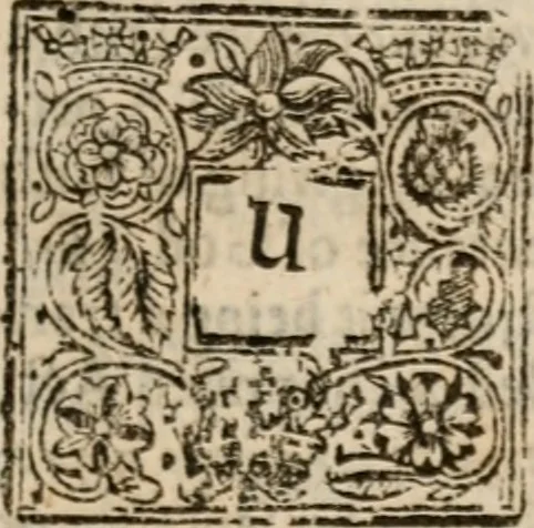 An illustration from Of justification: four disputations clearing and amicably defending the truth, against the unnecessary oppositions of divers learned and reverend brethren, 1658, leaf 352