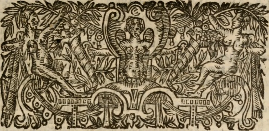 An illustration from Of justification: four disputations clearing and amicably defending the truth, against the unnecessary oppositions of divers learned and reverend brethren, 1658, leaf 428