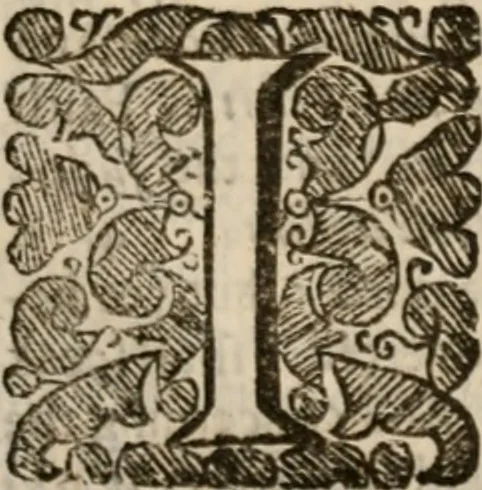 An illustration from Of justification: four disputations clearing and amicably defending the truth, against the unnecessary oppositions of divers learned and reverend brethren, 1658, leaf 428
