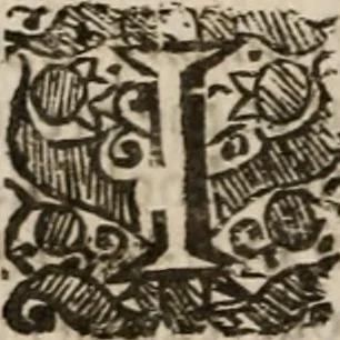 An illustration from Of saving faith: that it is not only gradually, but specifically distinct from all common faith. The agreement of Richard Baxter with that very learned consenting adversary, that hath maintained my assertion by a pretended confutation in the end of Sarjeant Shephards book of Sincerity and hypocrisie. With the reasons of my dissent in some passages that came in on the by. Together with his addition to the seventh impression of The Saints everlasting rest .., 1658, leaf 99