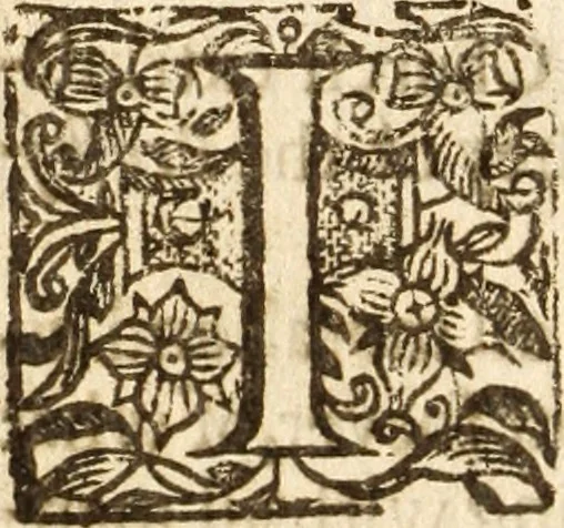 An illustration from Some drops of the viall powred out in a season when it is neither night nor day : or, Some discoveries of Jesus Christ his glory in severall books .., 1645, leaf 73
