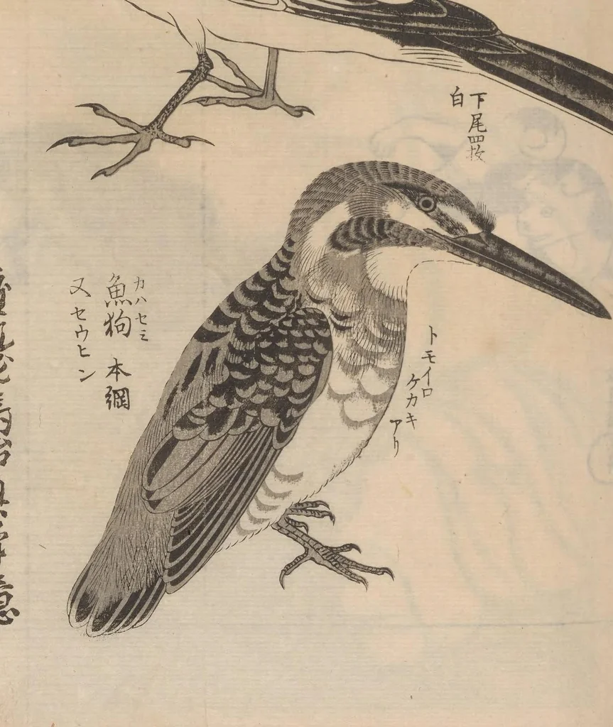 An illustration from Ogata-ryū hyakuzu, 1889, leaf 21