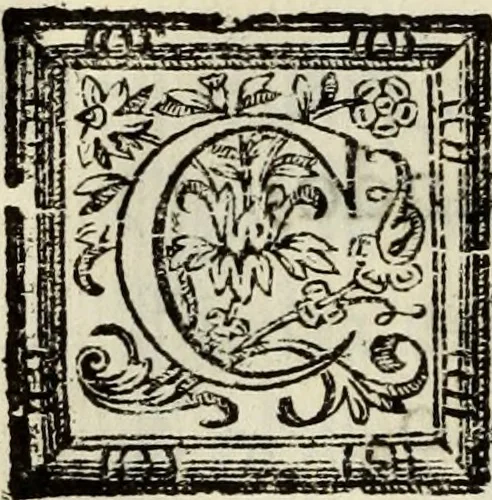An illustration from O Godfredo, ou, Hierusalem libertada : poema heroyco, 1682, leaf 107