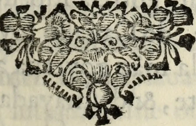 An illustration from O Godfredo, ou, Hierusalem libertada : poema heroyco, 1682, leaf 236