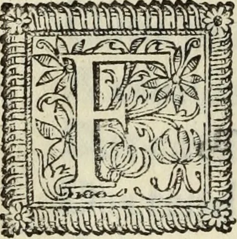 An illustration from O Godfredo, ou, Hierusalem libertada : poema heroyco, 1682, leaf 237