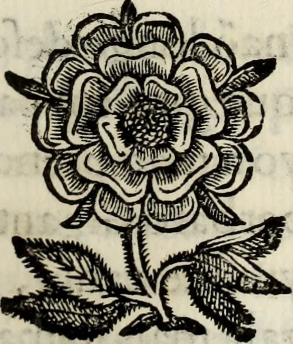 An illustration from O Godfredo, ou, Hierusalem libertada : poema heroyco, 1682, leaf 340