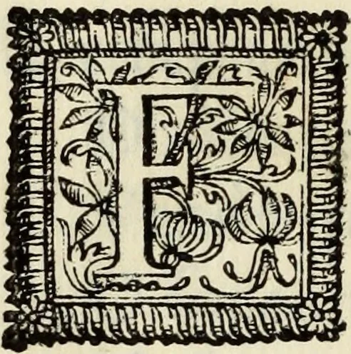 An illustration from O Godfredo, ou, Hierusalem libertada : poema heroyco, 1682, leaf 341