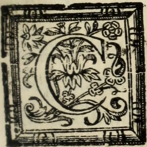 An illustration from O Godfredo, ou, Hierusalem libertada : poema heroyco, 1682, leaf 368