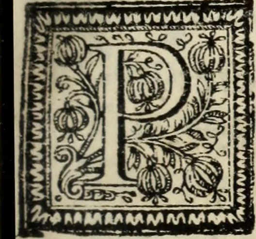 An illustration from O Godfredo, ou, Hierusalem libertada : poema heroyco, 1682, leaf 434