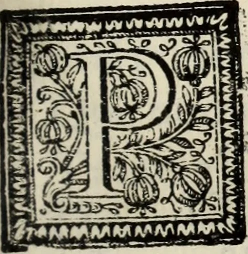 An illustration from O Godfredo, ou, Hierusalem libertada : poema heroyco, 1682, leaf 462