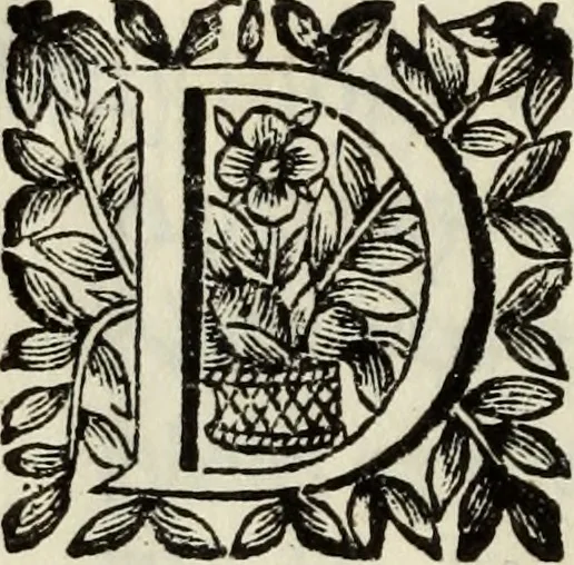 An illustration from O Godfredo, ou, Hierusalem libertada : poema heroyco, 1682, leaf 489