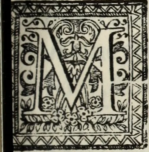 An illustration from O Godfredo, ou, Hierusalem libertada : poema heroyco, 1682, leaf 538