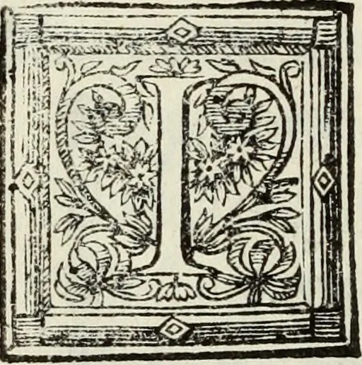 An illustration from O Godfredo, ou, Hierusalem libertada : poema heroyco, 1682, leaf 607